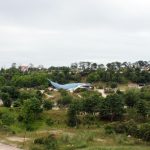 Zawody, pokazy,eventy